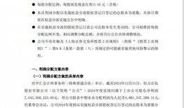 国产村妇女毛片精品久久,毛片精品久久，展现乡村妇女生活画卷