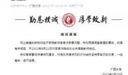 国产精品露脸在线视频